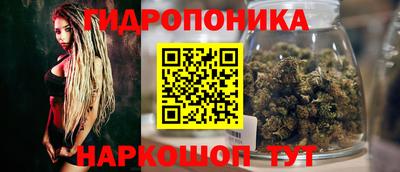 кокс Кимры