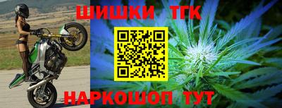 гидра Кингисепп