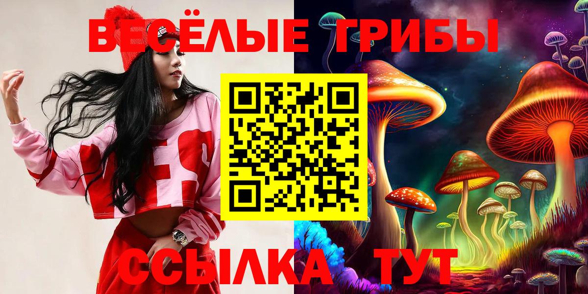 Галлюциногенные грибы MAGIC MUSHROOMS  Вход с VPN  Карпинск 